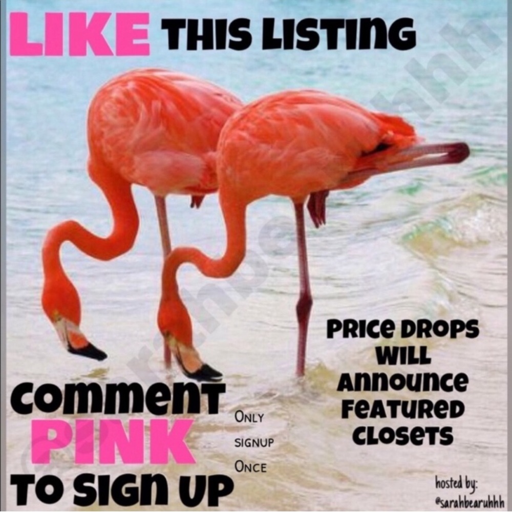 Listing FULL! Please like ❤️ NEW 🦩 listing next door! 🤗 Mon 🦩’s are up! - Picture 4 of 15